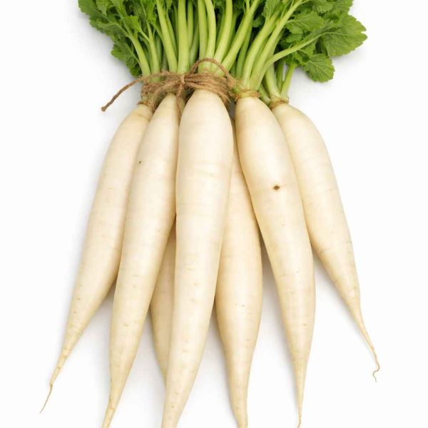 Radish (Mooli)